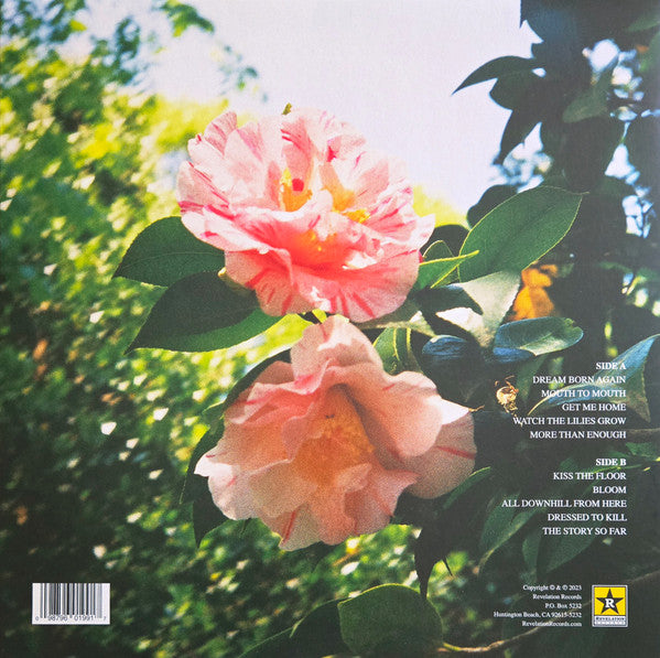 New Found Glory - Make The Most Of It - LP