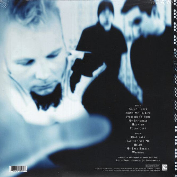 Evanescence - Fallen - LP