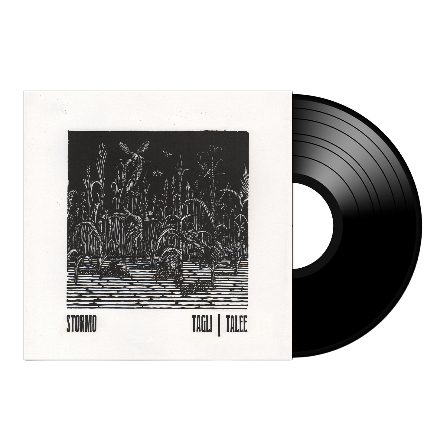 STORM(O) Tagli/Talee on Black Vinyl