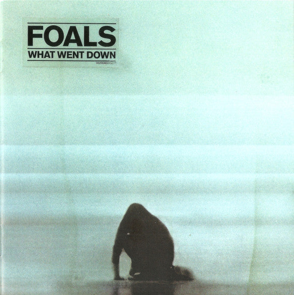 Foals – What Went Down freeshipping - Transcending Records