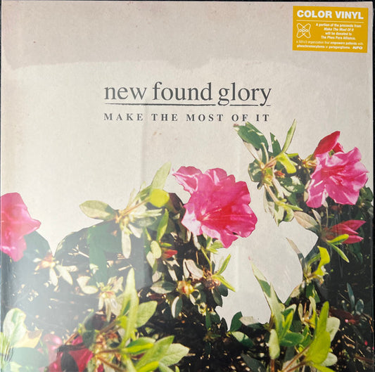 New Found Glory - Make The Most Of It - LP