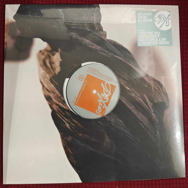 Pixies - The Night The Zombies Came - LP