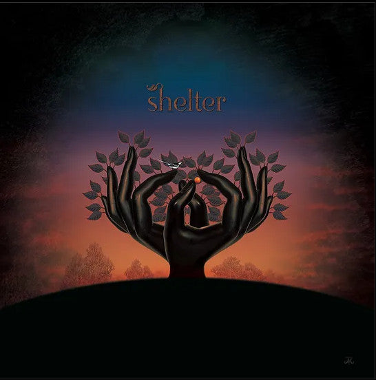 Laughing Stock - Shelter - LP