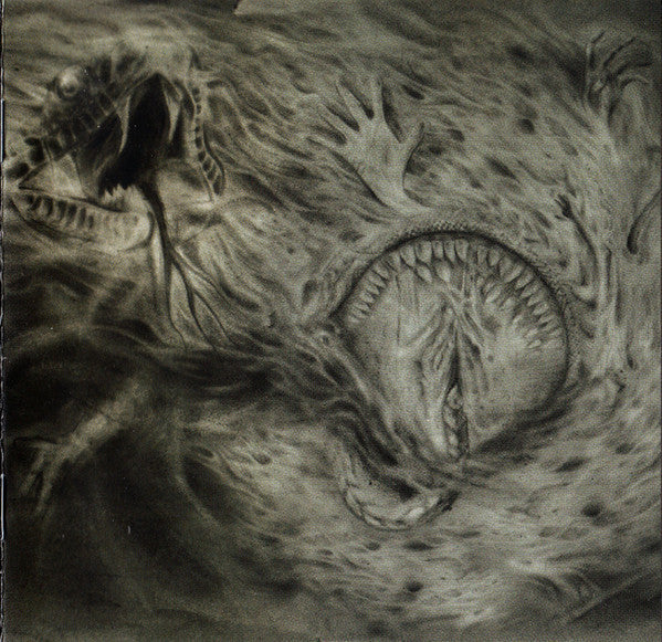 Nidsang - Into The Womb Of Dissolving Flames - CD