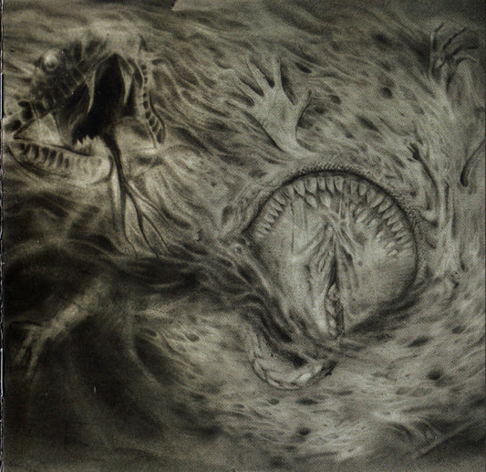 Nidsang - Into The Womb Of Dissolving Flames - CD