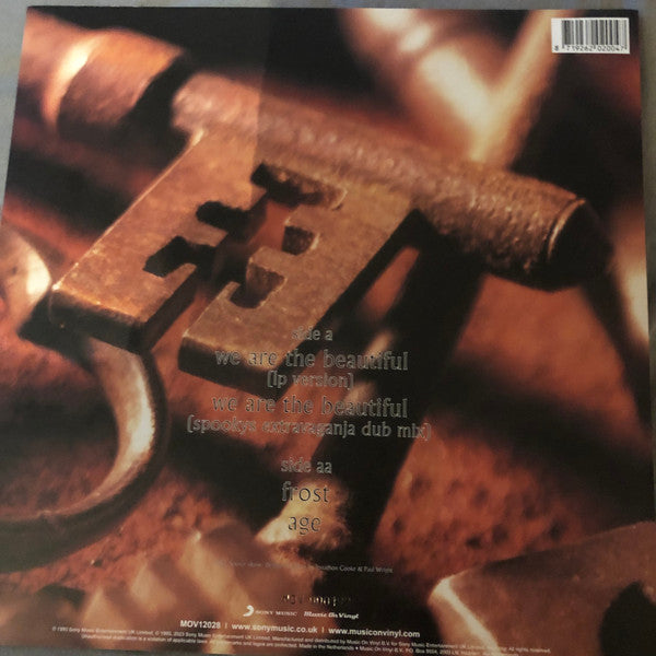 Chapterhouse - We Are The Beautiful - LP