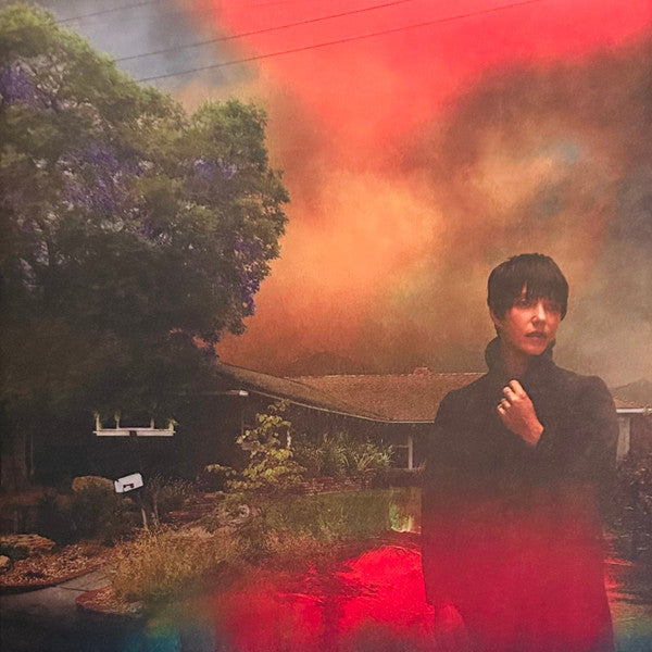 Sharon Van Etten - We've Been Going About This All Wrong - LP