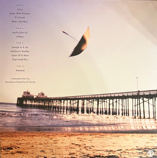 Phish - Hoist - LP