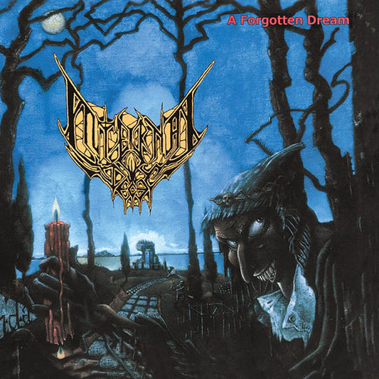 Internal Decay - A Forgotten Dream - LP