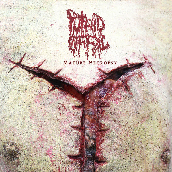 Putrid Offal - Mature Necropsy - LP