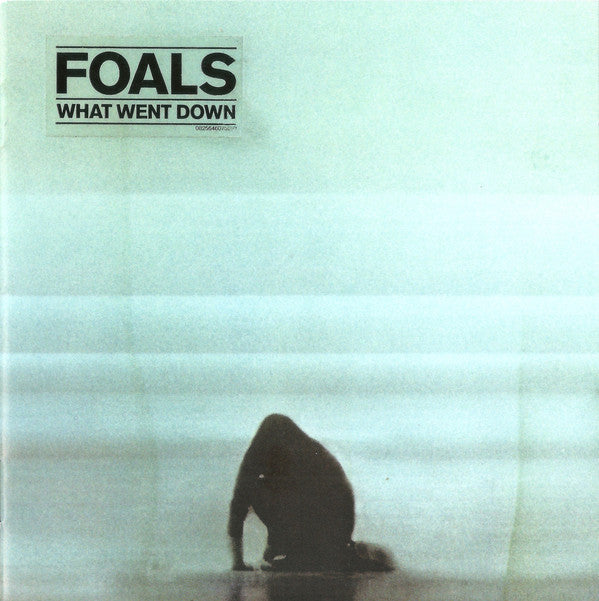 Foals ‎– What Went Down freeshipping - Transcending Records