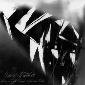 Andy Winter ‎– Shades Of Light Through Black And White freeshipping - Transcending Records